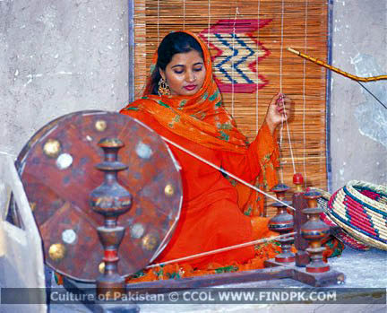 Culture of Pakistan (301)