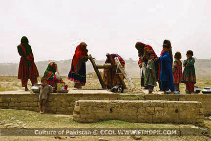 Culture of Pakistan (309)