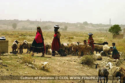 Culture of Pakistan (5)