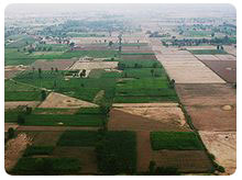 Agricultural exports form an important part of Faisalabad's economy