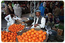 Orange Seller