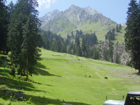 P8050314