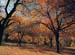 Hunza Autumn Tour 3