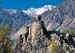 Hunza H Habbit -1