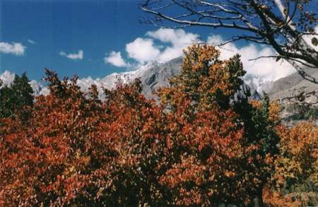 Pic 11