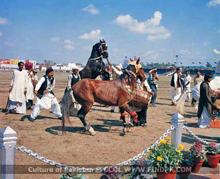 Culture of Pakistan (110)