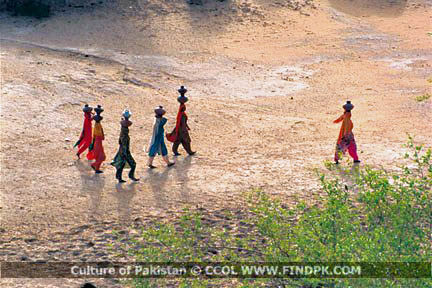 Culture of Pakistan (115)