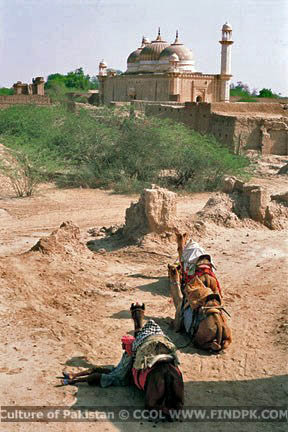 Culture of Pakistan (116)