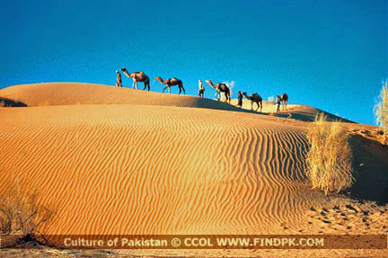 Culture of Pakistan (117)