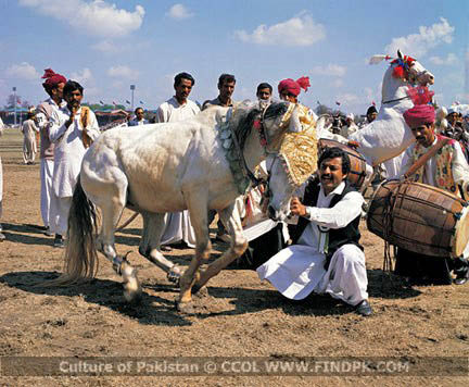 Culture of Pakistan (119)