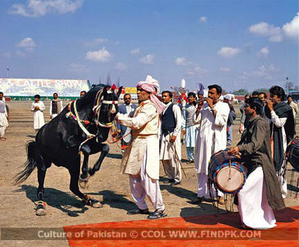 Culture of Pakistan (120)
