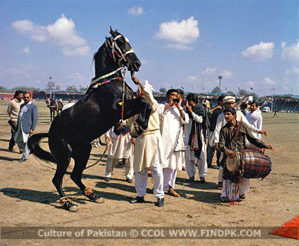 Culture of Pakistan (121)