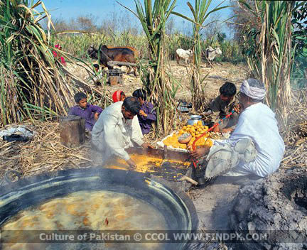Culture of Pakistan (227)