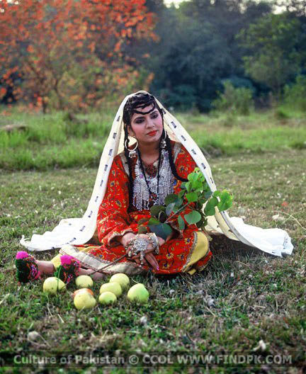 Culture of Pakistan (231)