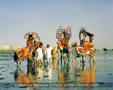 Culture of Pakistan (234)