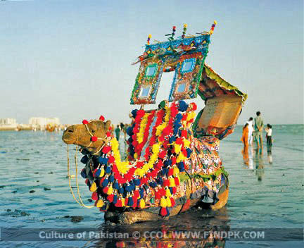 Culture of Pakistan (237)