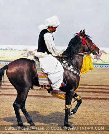 Culture of Pakistan (238)