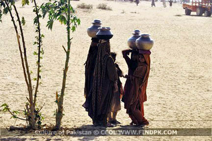 Culture of Pakistan (239)