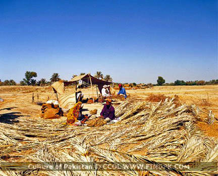 Culture of Pakistan (243)