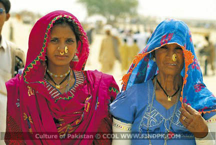 Culture of Pakistan (253)