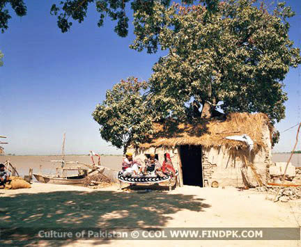Culture of Pakistan (259)