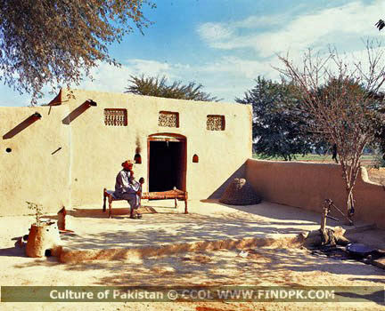 Culture of Pakistan (261)