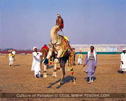 Culture of Pakistan (57)