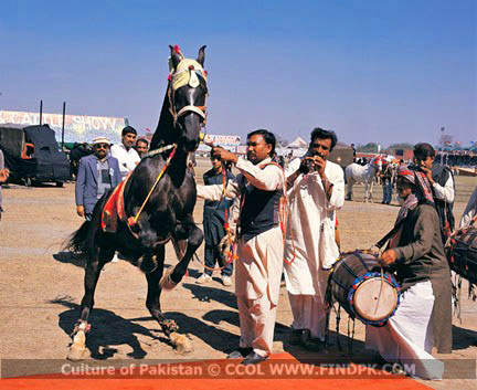 Culture of Pakistan (80)
