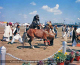 Culture of Pakistan (110)