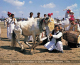 Culture of Pakistan (119)