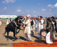 Culture of Pakistan (120)