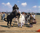 Culture of Pakistan (121)