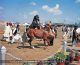 Culture of Pakistan (124)