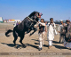 Culture of Pakistan (156)