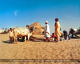 Culture of Pakistan (157)