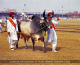 Culture of Pakistan (47)