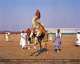 Culture of Pakistan (57)