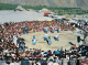 Culture of Pakistan (81)