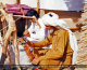 Culture of Pakistan (98)