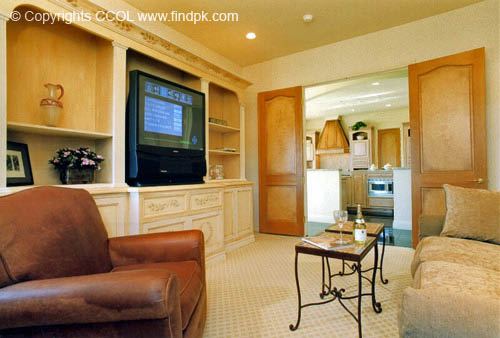 Family-Room-Interior-Design (87)