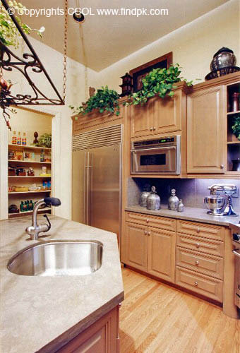 Kitchen-Interior-Design (163)