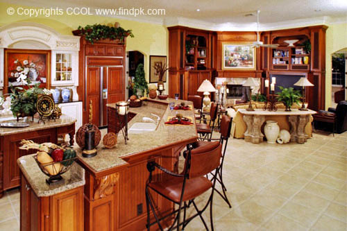 Kitchen-Interior-Design (253)