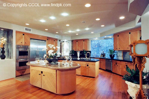 Kitchen-Interior-Design (291)