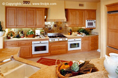 Kitchen-Interior-Design (313)