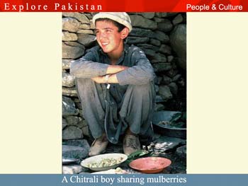 THE PEOPLE OF THE NORTH-WEST FRONTIER: THE PATHANS