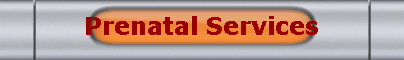 Prenatal Services