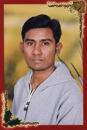 david