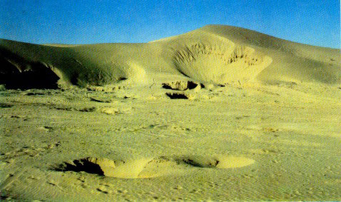 Cholistan