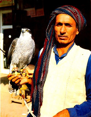 Eagle & Man