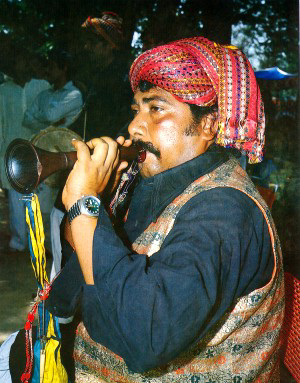 Musical Instrument